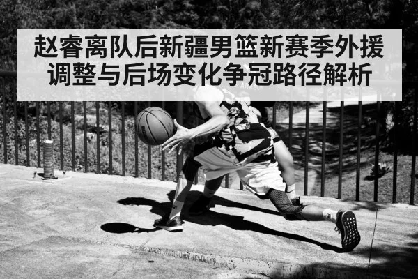 赵睿离队后新疆男篮新赛季外援调整与后场变化争冠路径解析 | kaiyun